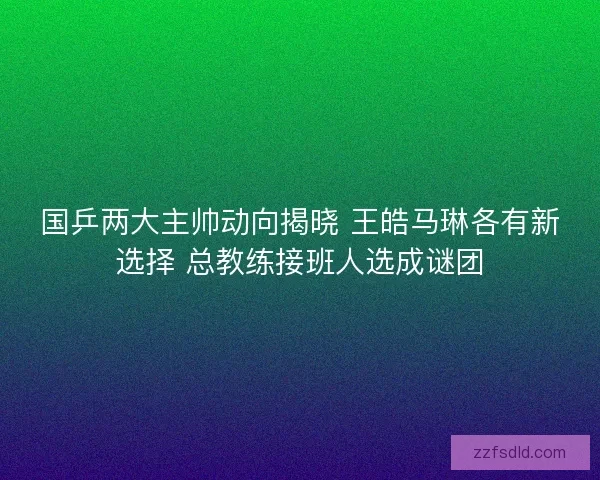国乒两大主帅动向揭晓 王皓马琳各有新选择 总教练接班人选成谜团